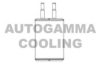AUTOGAMMA 105272 Heat Exchanger, interior heating